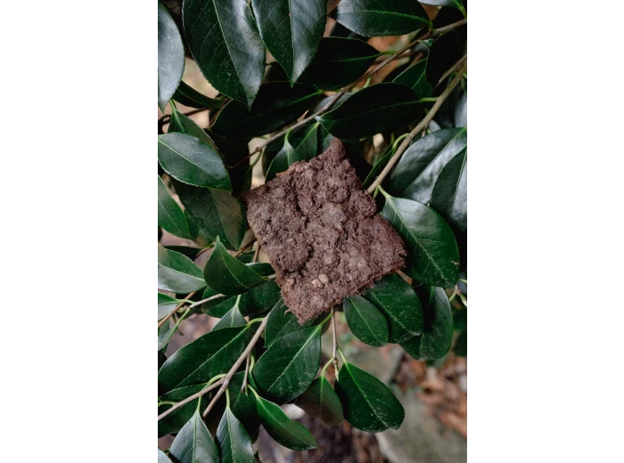 BEAVER | Freeze-Dried Dog + Cat Treat 1.5 oz