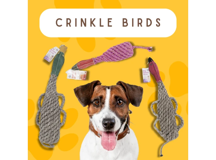 Eco-friendly Recycled Bottle Crinkle Bird Toys Pet-Safe and Duck XL