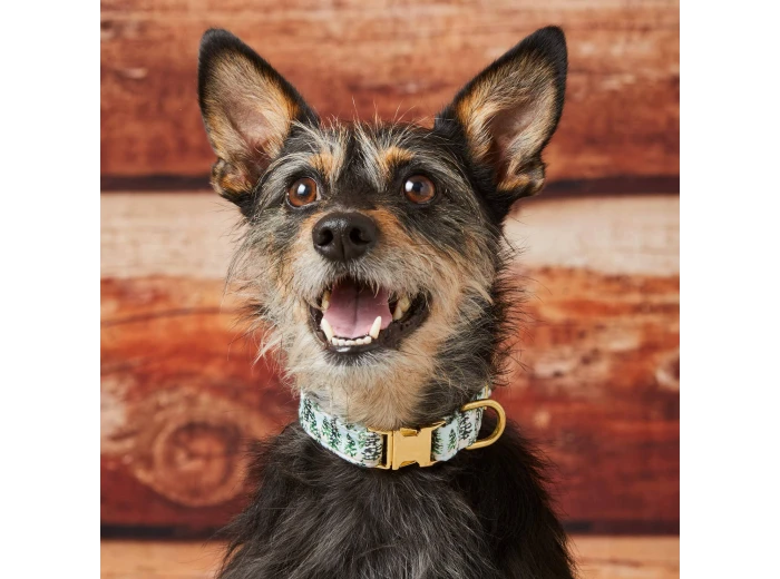 Gray Malin x TFD Snowy Pines Dog Collar XS