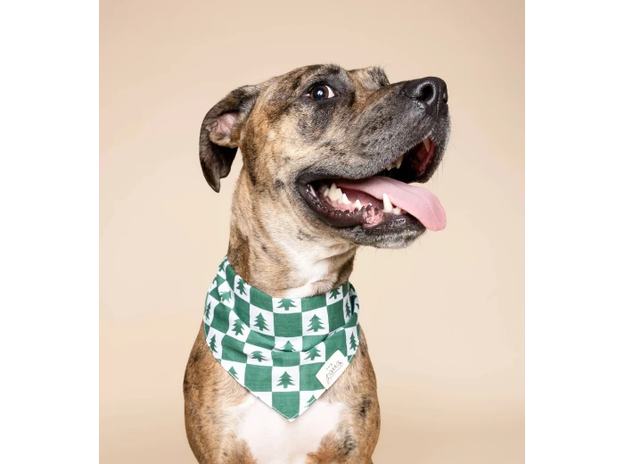 Spruce Winter Dog Bandana SizeXS