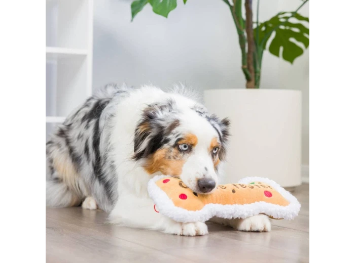 Cookie Tester Bone For Dogs Large