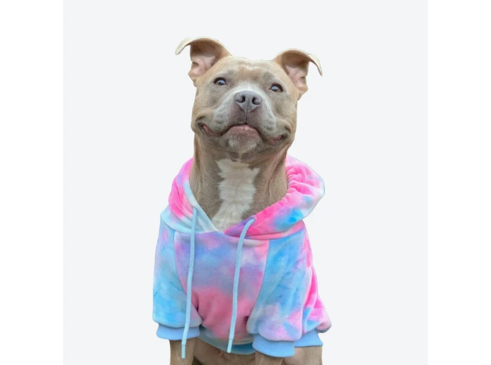 Velvet Dog Hoodie - Snow Cone 4XL