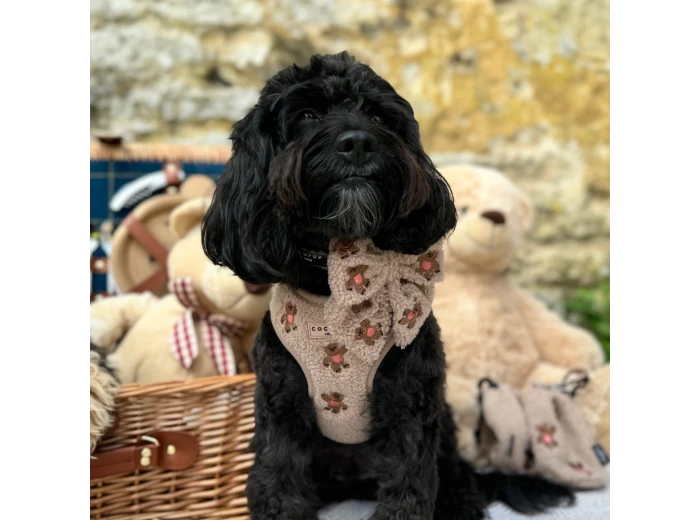 Theo Embroidered Teddy Adjustable Neck Harness S