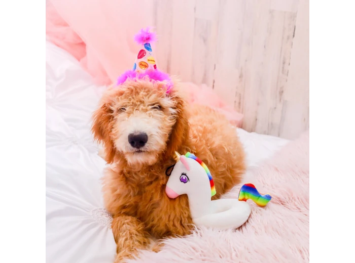 H&K Party Hat Party Time Pink with SnugFit® SM