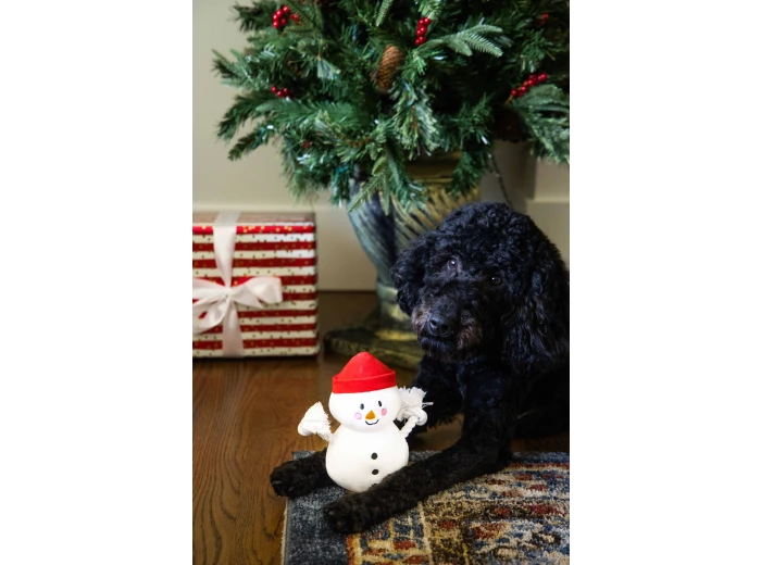 Snowman Plush Rope Christmas Dog Toy