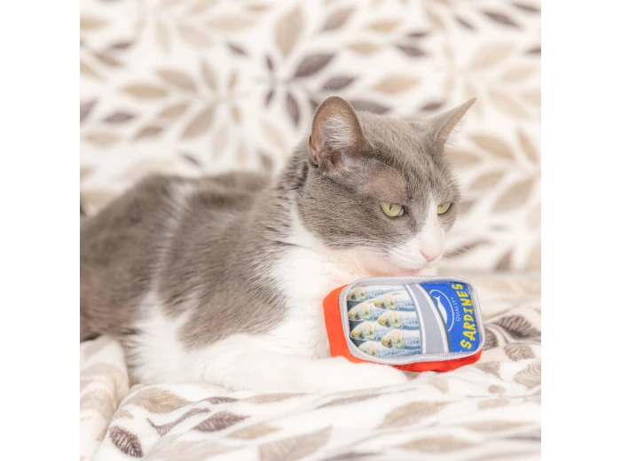 Sardine Tin For Cats