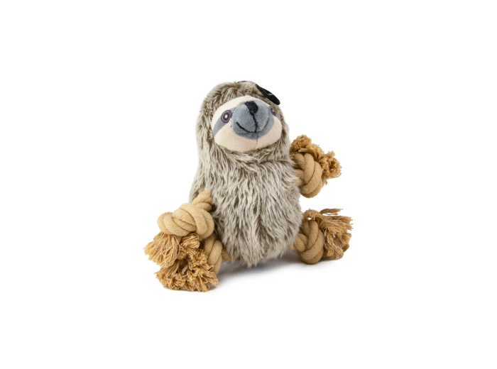 Roper Prairie Sloth