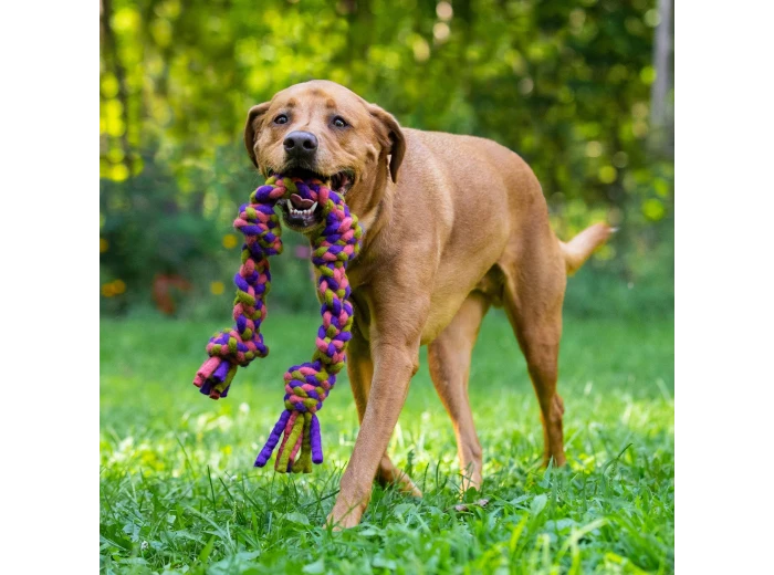 Dharma Dog Toy, Knotted Rope Pull, Purple/Green 26