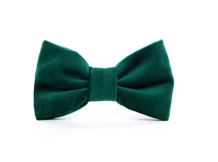Forest Green Velvet Holiday Dog Bow Tie Large