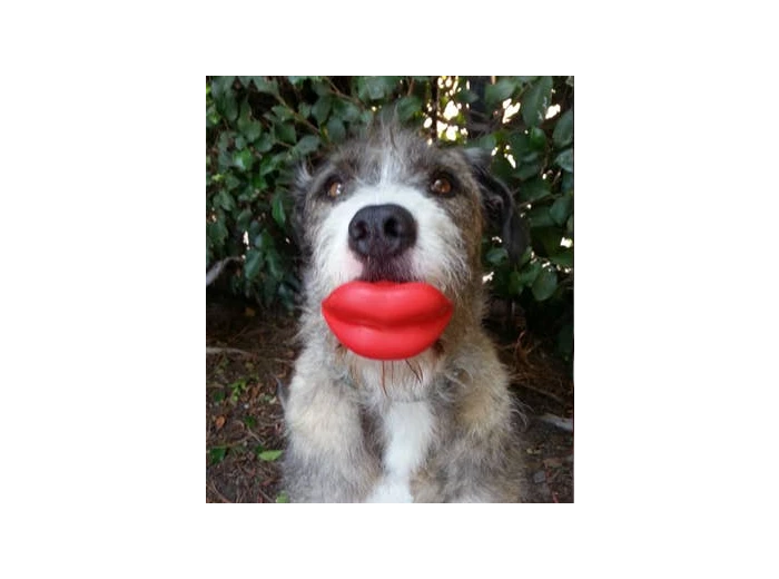 Humunga Lips Junior
