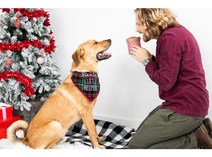 Santa's Little Helper Christmas Dog Bandana, M/L