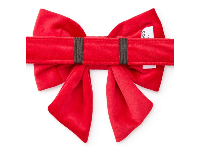 Cranberry Velvet Lady Dog Bow Small