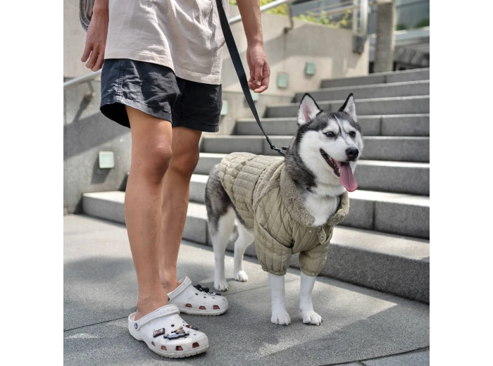 WHOLESALE SOHO//DOG CLOTHING//APPAREL Dunes