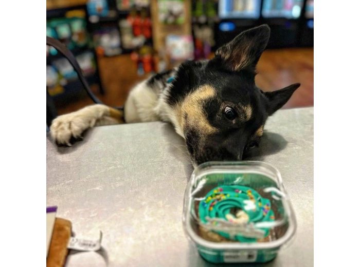 Hey Don't Forget the Cat Treats & Cakes Freeze Dried Pork Cat Cake with Icing Blue