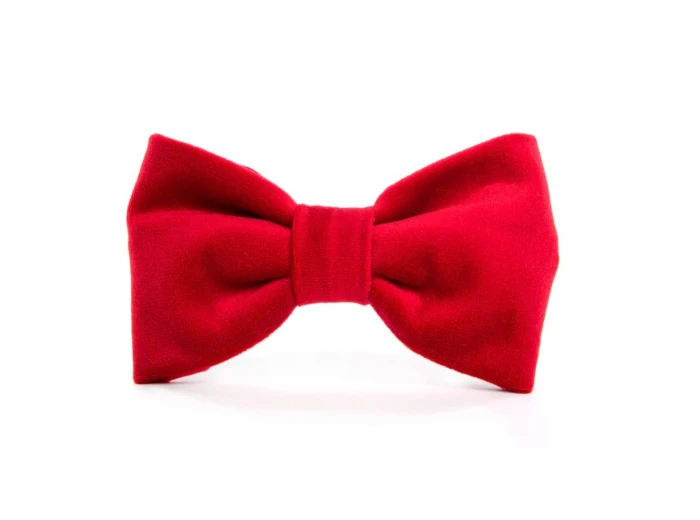 Cranberry Velvet Dog Bow Tie Standard