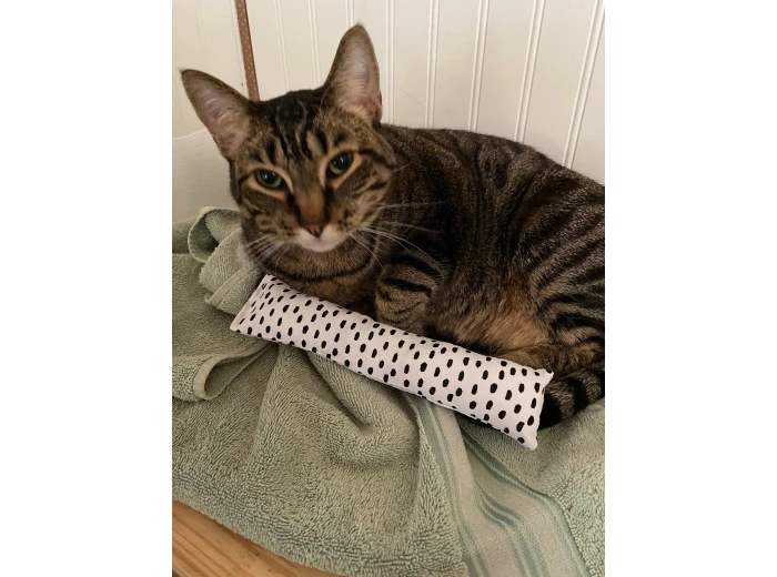 Cat nip kicker Cat theme
