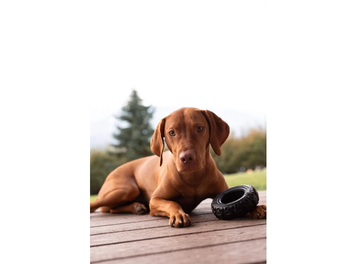 The Tire - Reclaimed Rubber Toy - MADE IN THE USA Small