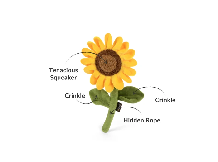 Blooming Buddies - Sassy Sunflower