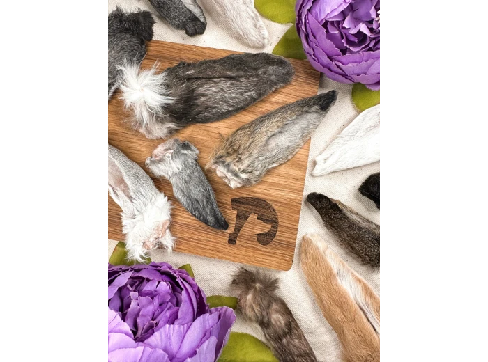 Freeze-dried Rabbit Ears