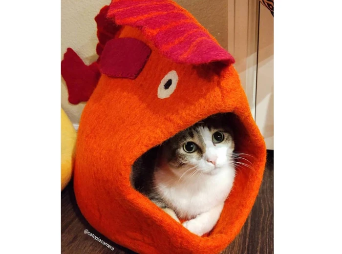 Fish Wool Pet Cave Grey White