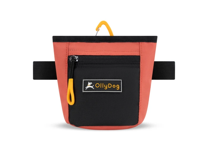 Goodie Treat Bag - Dog Treat Pouch Raven