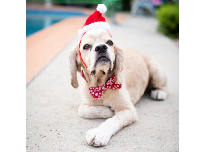H&K Hat Santa with SnugFit® SM