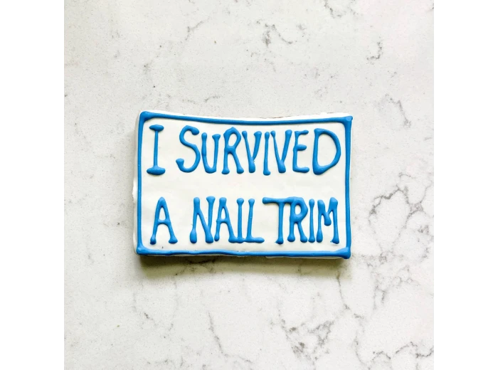 Spaw Day Cookies I Survived a Nail Trim Cookie