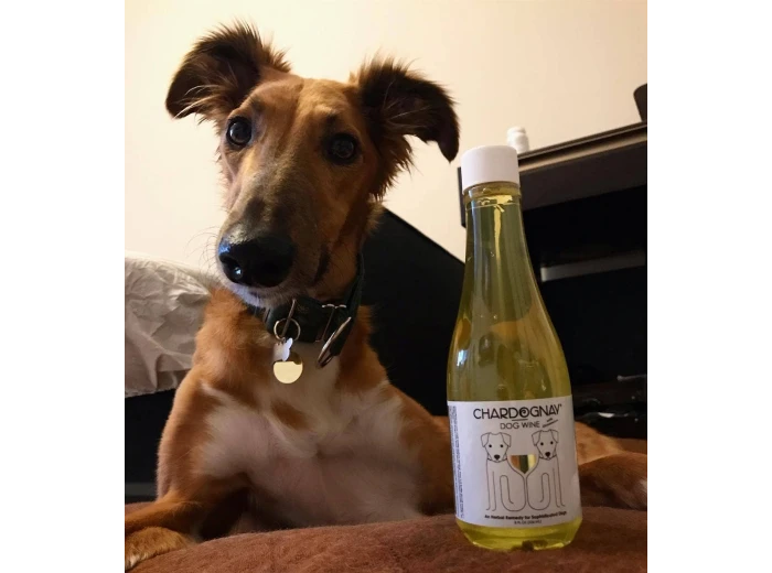 CharDOGnay Fish Oil + Bone Health Dog Wine Liquid Supplement