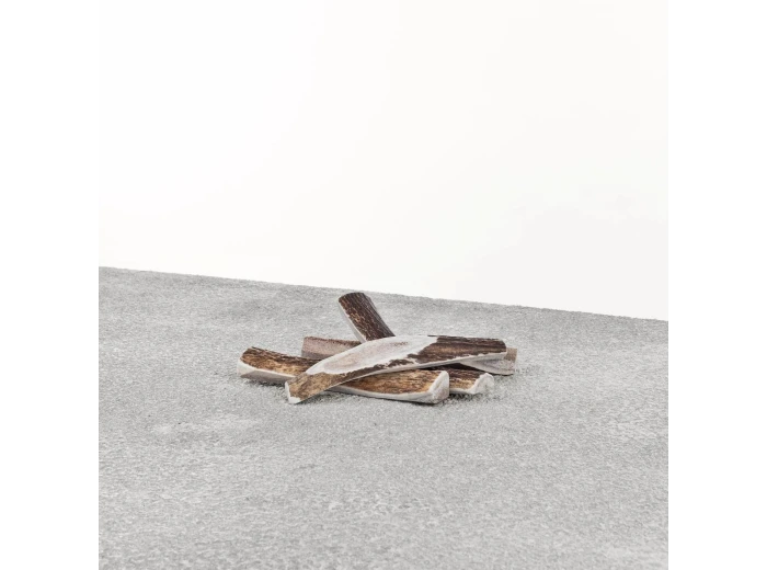 Primal Dog Stag Antler Medium