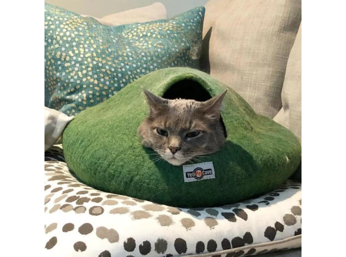 Yeti Pet Cave Green 22X20/9"