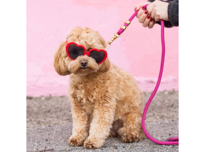 Hot Pink Marine Rope Dog Leash Standard 5 feet