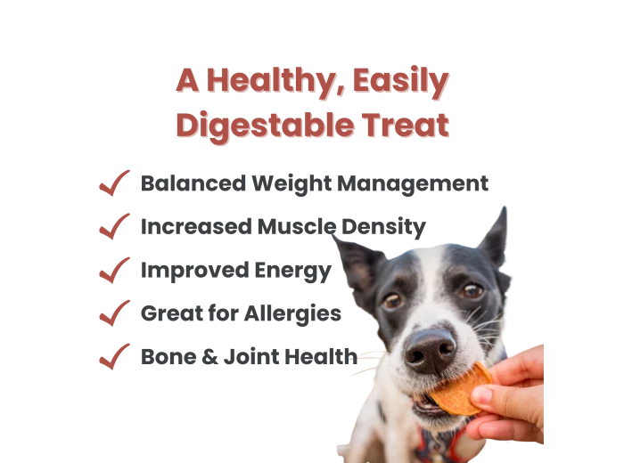 Chicken Chips Dog Treats 4oz