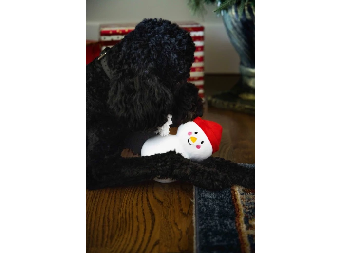 Snowman Plush Rope Christmas Dog Toy