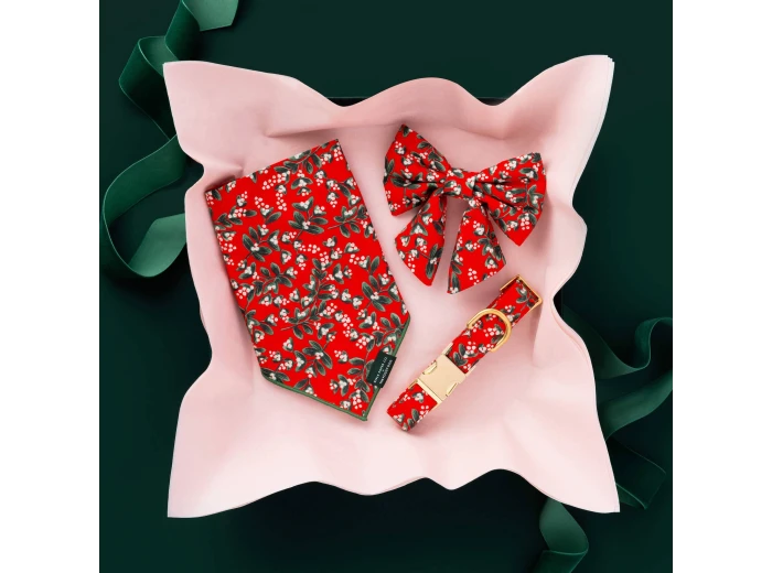 Rifle Paper Co. x TFD Mistletoe Dog Collar Large