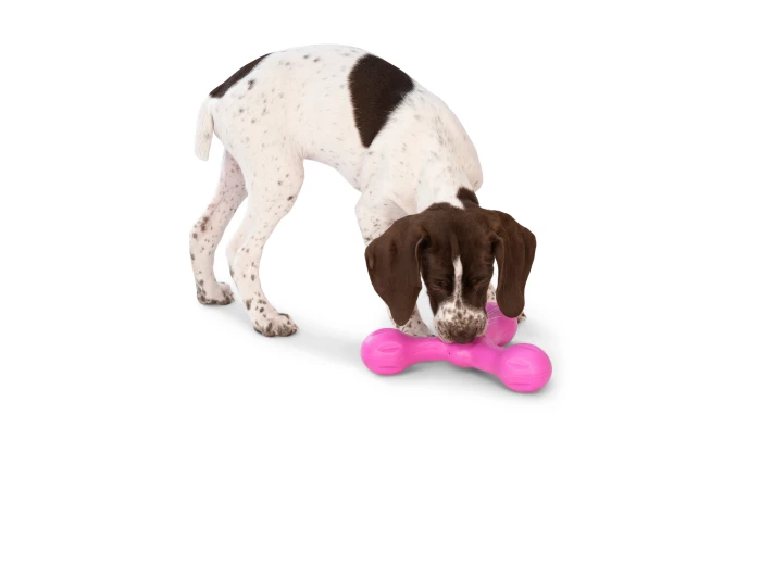 Skamp® Dog Toy for Play, Tug, and Fetch Aqua Blue