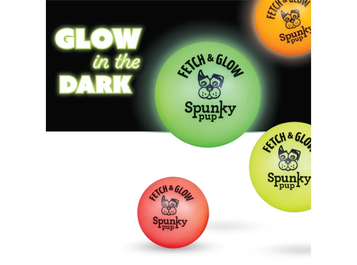 Fetch and Glow Ball Small