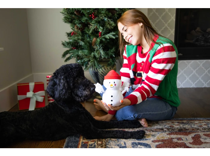 Snowman Plush Rope Christmas Dog Toy
