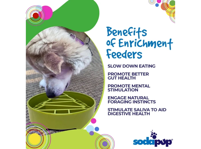 Pine Tree Design eBowl Enrichment Slow Feeder Bowl for Dogs